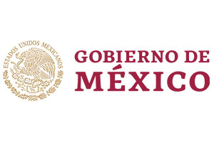 Gobierno De Mexico